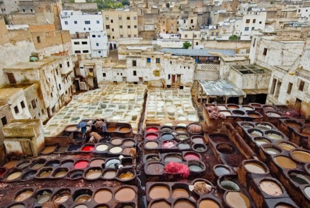 From Red City to Imperial Fes: 5-Day Desert & Culture Tour