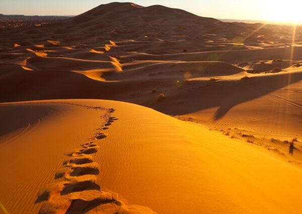 Fes to Sahara in 2 Days: Morocco Desert Experience